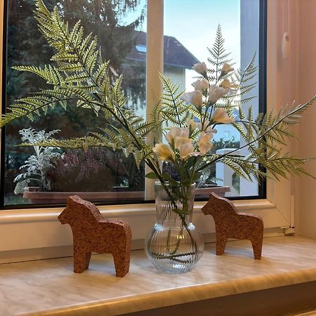 Casa Verde Dresden Dış mekan fotoğraf